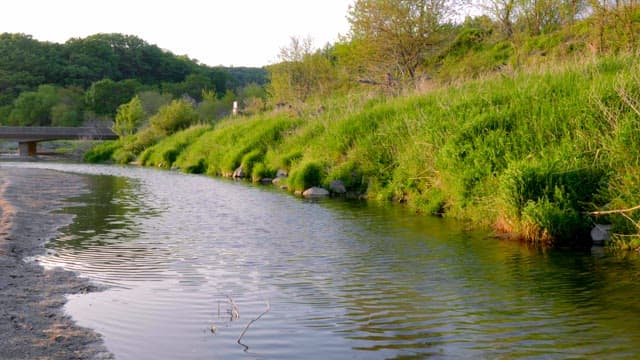 Tranquil river flowing through lush greenery