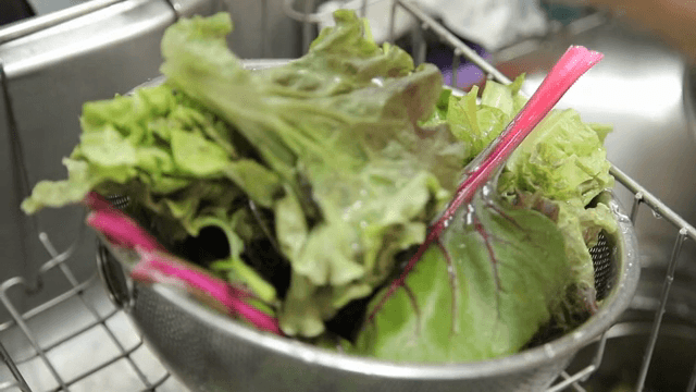 채반에서 씻고 있는 신선한 채소