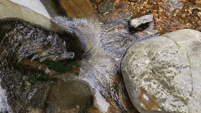 Clear stream flowing over rocks