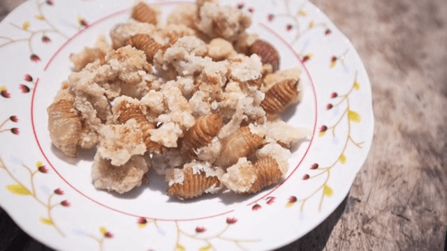 나무 테이블 위에 놓인 애벌레 탕수육