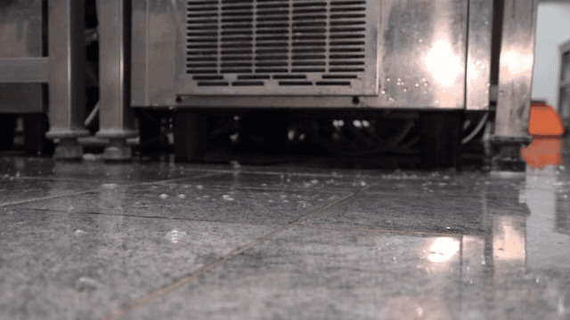 젖은 바닥을 솔로 청소하는 모습