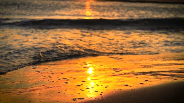 Sunset Reflections on Seaside Shoreline