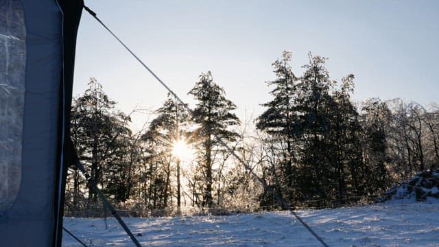 Sunlight through the Snow-Covered Forest Behind the Tent