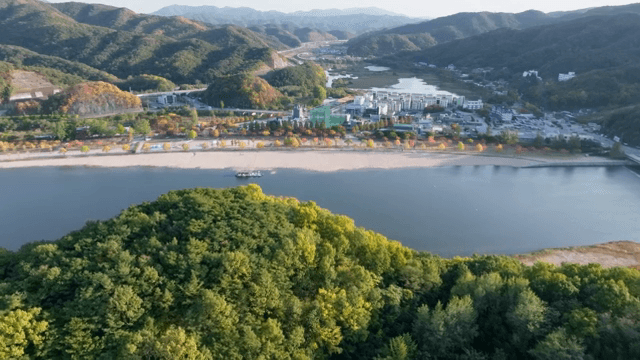 멀리 산이 보이는 울창한 숲