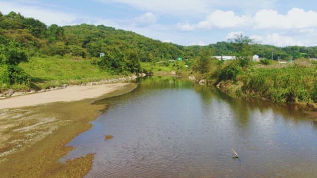 Calm river surrounded by lush greenery