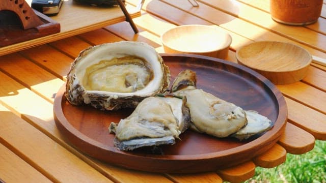 Fresh oyster on a wooden plate