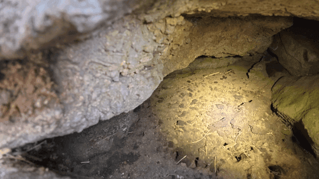 Dimly lit interior of cave and rock walls