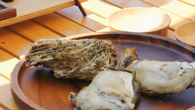 Fresh oyster on a wooden plate