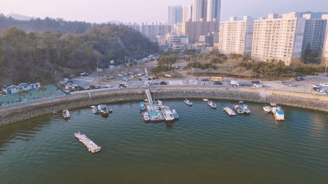 고층 건물과 보트가 있는 해안 도시