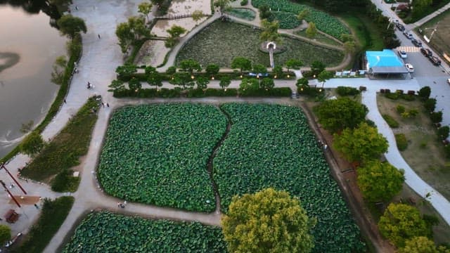 연못이 있는 푸른 공원의 항공 뷰