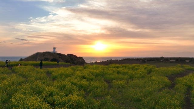 Sunset over a field with a lighthouse