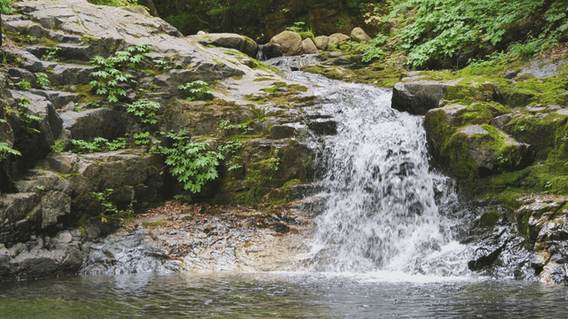Small stream swiftly running between mossy rocks