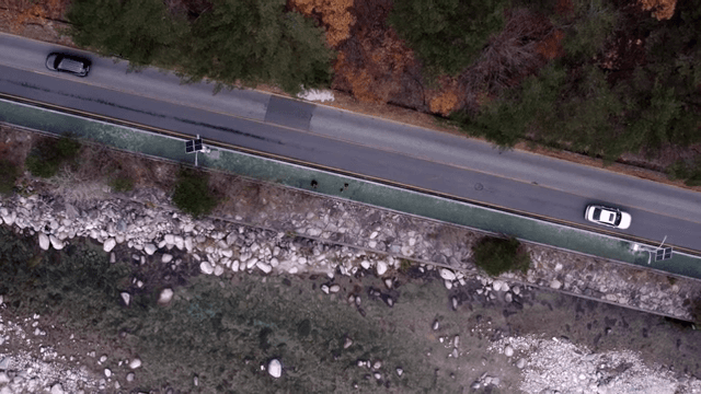 숲길을 달리는 자동차들