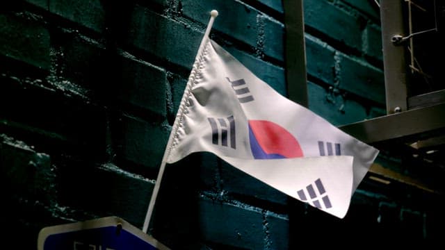 Korean flag waving against a brick wall