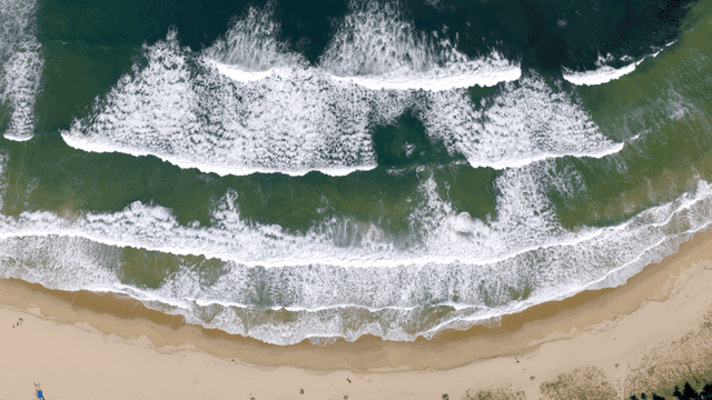 파도가 있는 고요한 모래 해변