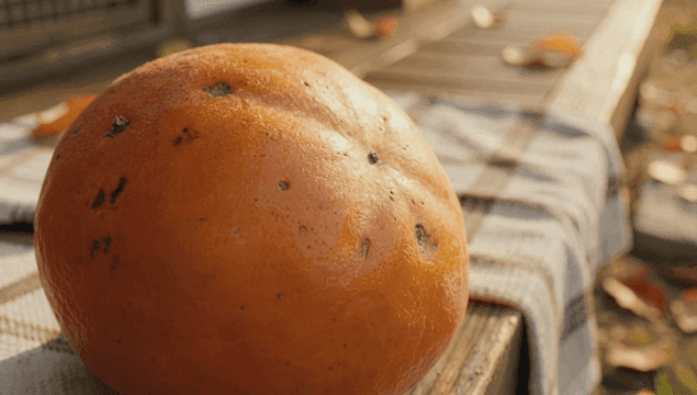 마루 위의 잘 익은 감