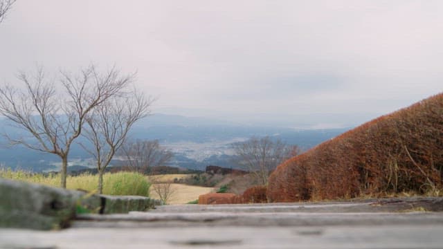 Person walking on a scenic hill