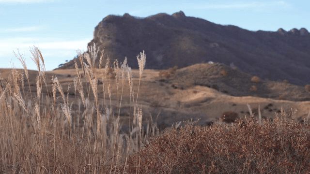 갈대가 있는 고요한 산 풍경