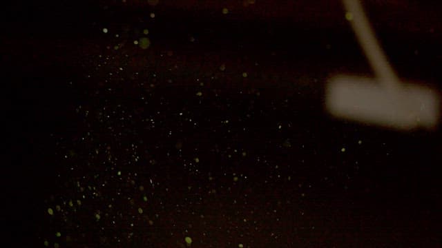 공기 중에 떠다니는 먼지 입자들