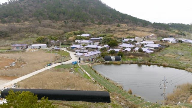 Rural village with fields and a pond