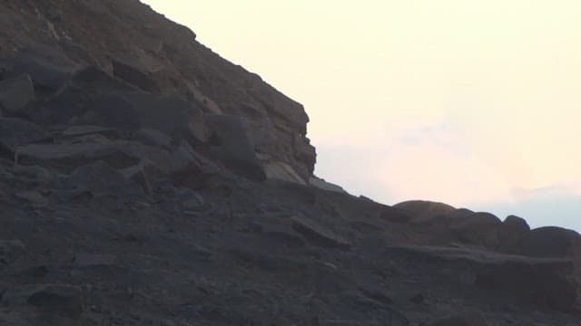 절벽에서 굴러 떨어지는 동물