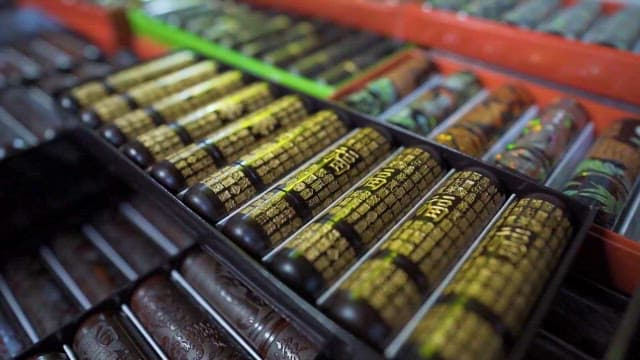 Seals of Various Materials on the Display Stand