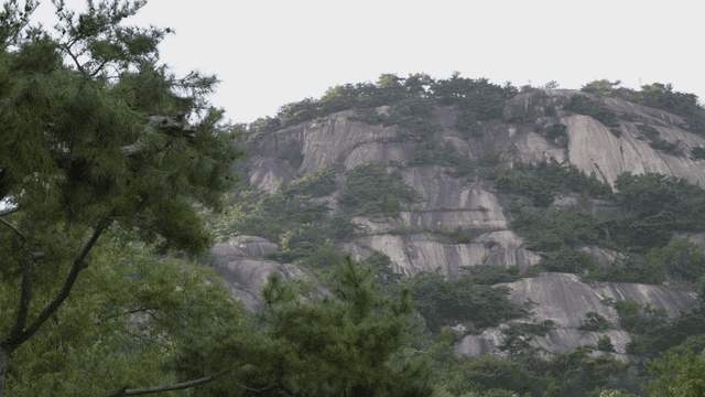 Rocky mountain with green trees