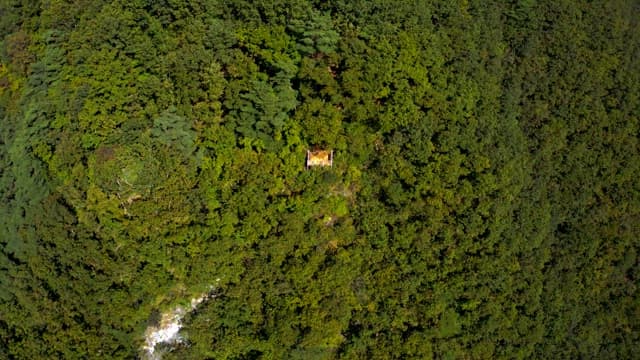 Observatory surrounded by lush greenery