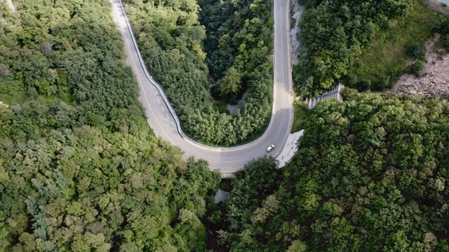푸른 숲을 가로지르는 구불구불한 도로