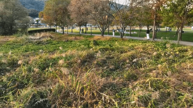 가을 풍경을 즐기는 사람들이 있는 경치 좋은 공원