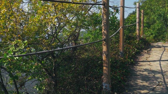 View of the river through the trees from the walking path