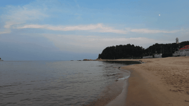 A tranquil beach with calm waves