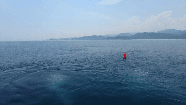 Sea with calm waves where buoys are floating