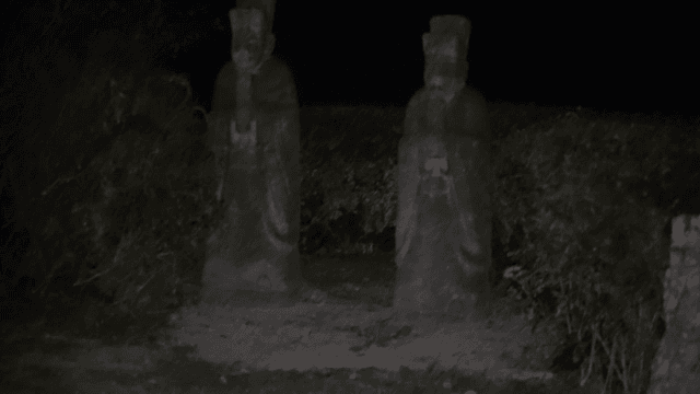 Traditional stone statues at night