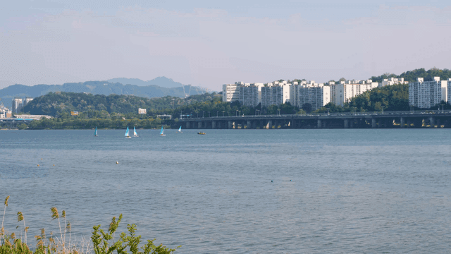 Sailboats on a river with city skyline