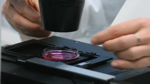 Scientist experimenting with a microscope and petri dish