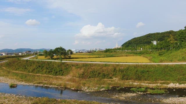 Rural landscape with fields and a road