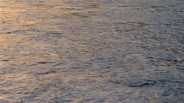 햇빛을 반사하는 강의 수면