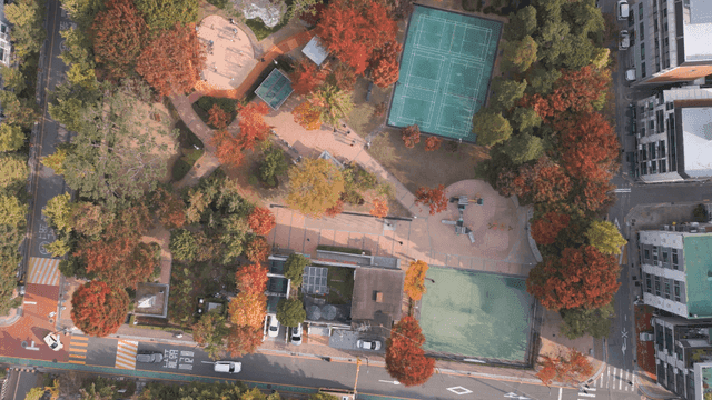 Aerial view of a city park in autumn
