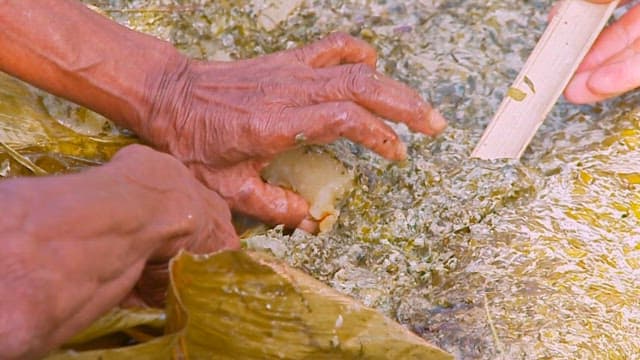 Hands preparing traditional Vanuatu food Laplap with banana leaves