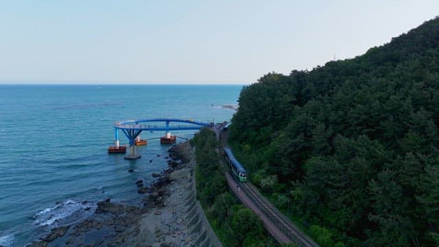 해안 전망대와 우거진 숲 사이를 지나가는 해변열차