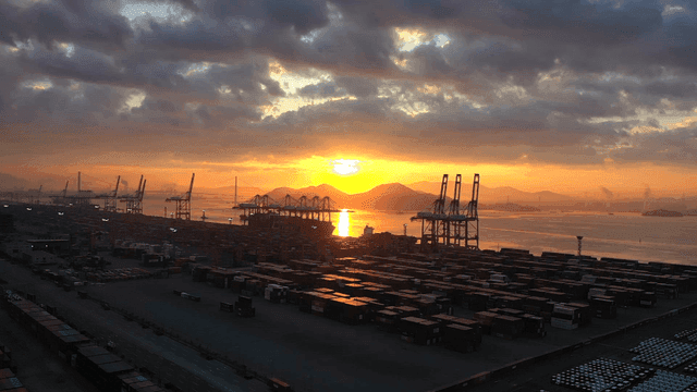 Sunset at crowded port with cranes