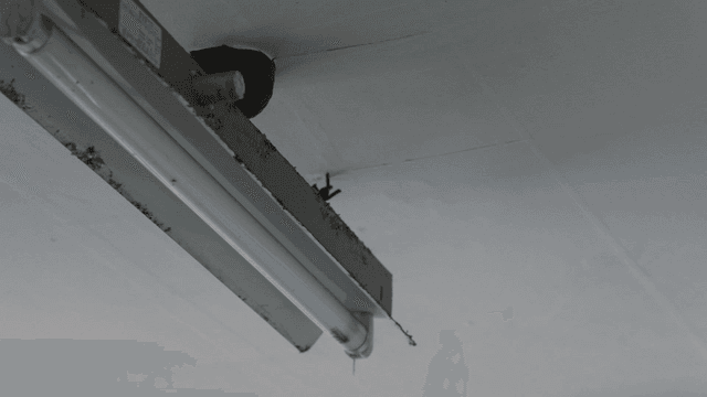 Fluorescent light fixture on a ceiling