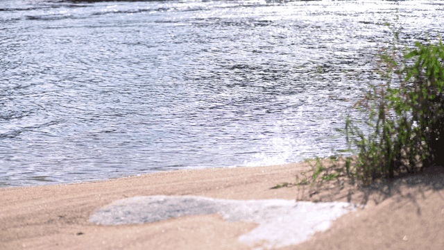 잔잔한 물결이 있는 강