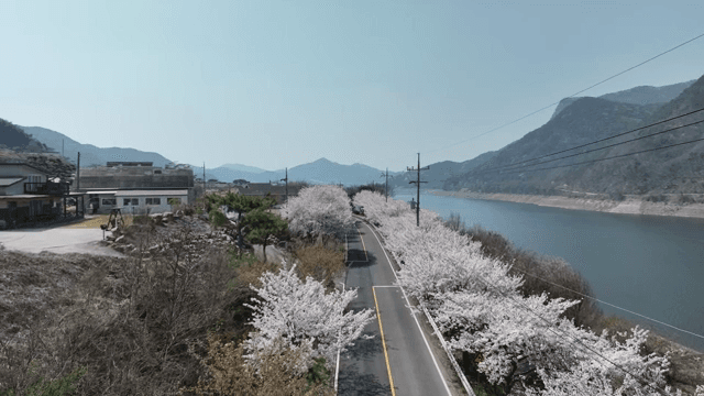 벚꽃이 핀 호수의 경치