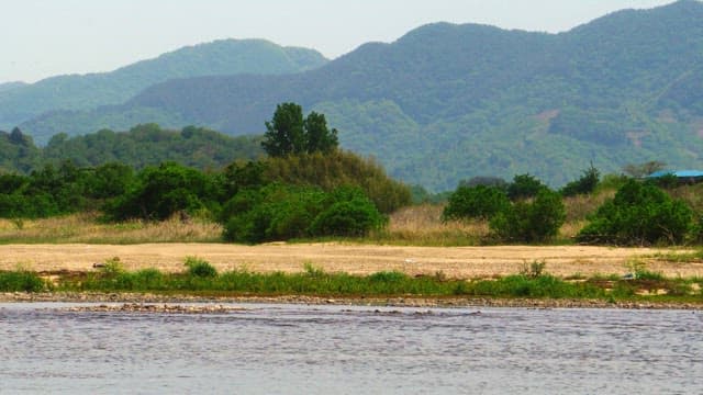 무성하고 푸른 산이 보이는 한적한 강변