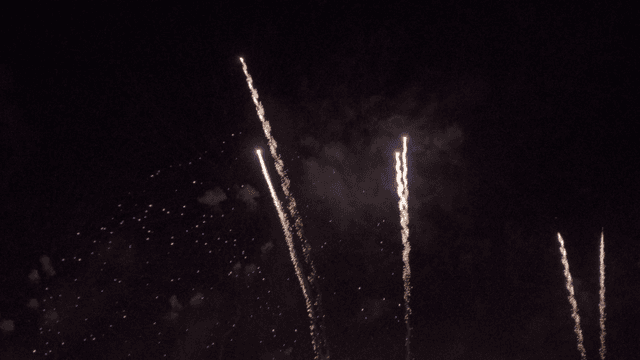 어두운 밤하늘을 강렬하게 밝히는 불꽃놀이