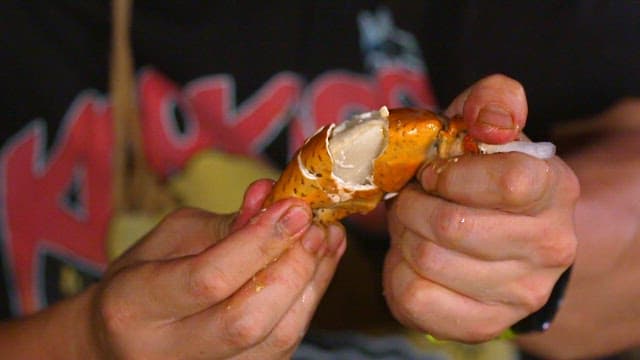 손으로 게 집게를 까는 모습