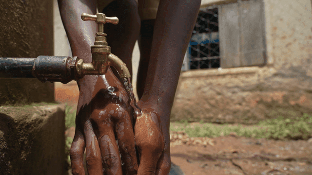 수돗물로 손을 씻는 모습