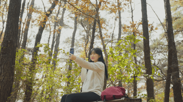 Young woman taking selfie on bench in sunny autumn forest